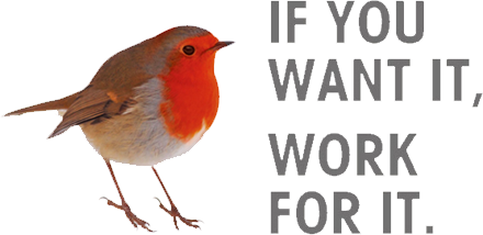 我喜欢这个功利的世界:这世界承认每一个人的