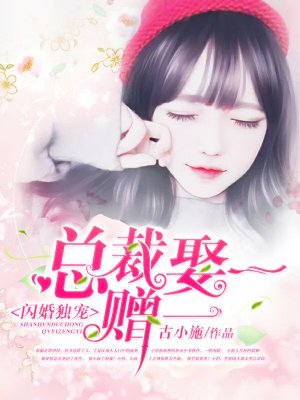 闪婚独宠:总裁娶一赠一