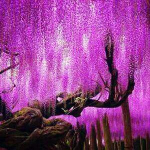 微风细雨 吉他谱分享_微风细雨 吉他谱图片下