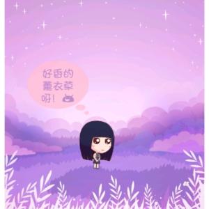 tfboys之薰衣草的花海