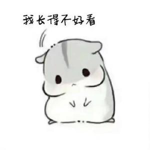 通天仙路的评论