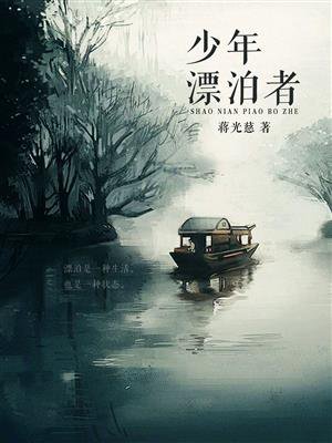 少年漂泊者