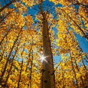 蛇王专宠:兔妃,红烧了吃的圈子(掌阅)