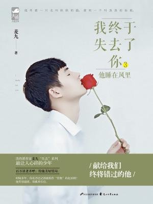 我终于失去了你3:他睡在风里的圈子(掌阅)