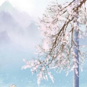 医妃独步天下的评论(掌阅)