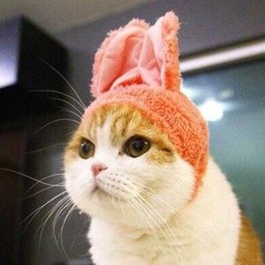 最强神医混都市的圈子(掌阅)