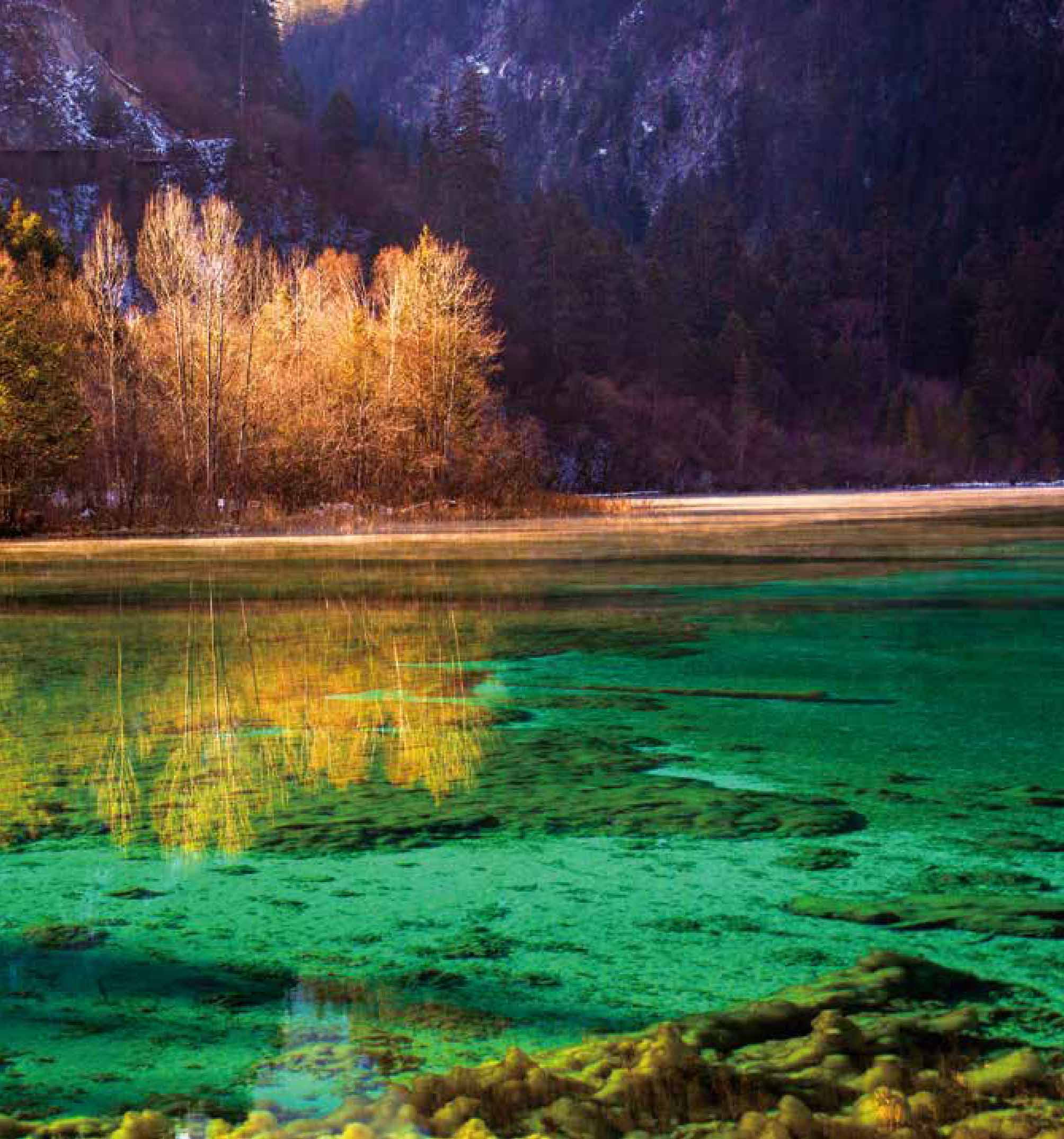 宇宙的背面最新章节_陈冰著