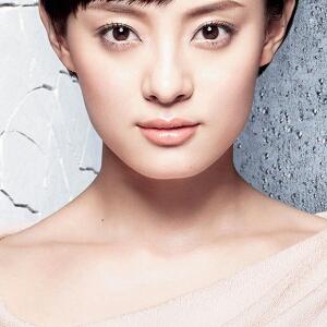 梅花泪简谱歌谱云菲菲
