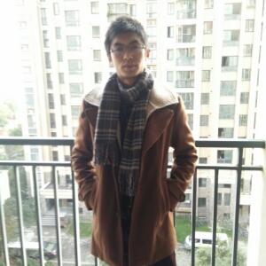 宠物小精灵之王者无双