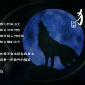 雪夜孤狼