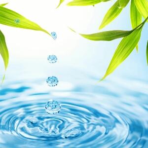 溺宠绝品医妃的圈子(掌阅)