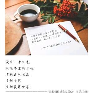 世界不曾亏欠每一个努力的人的评论
