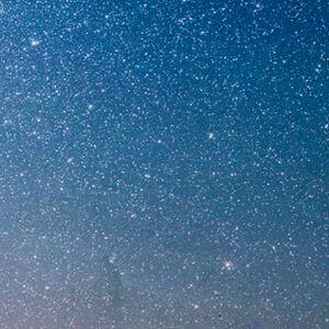 宠物小精灵之王者无双