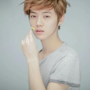 双胞胎宝宝的总统爹地-腹黑宝宝斗爹爹|冷酷双