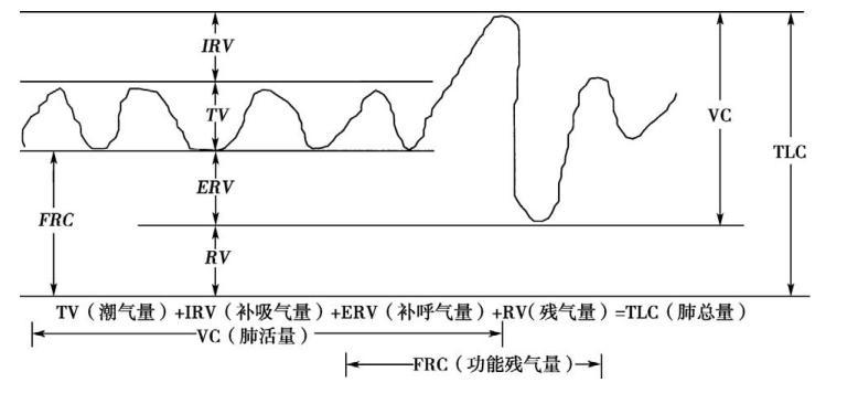 第一章 胸外科患者术前评估