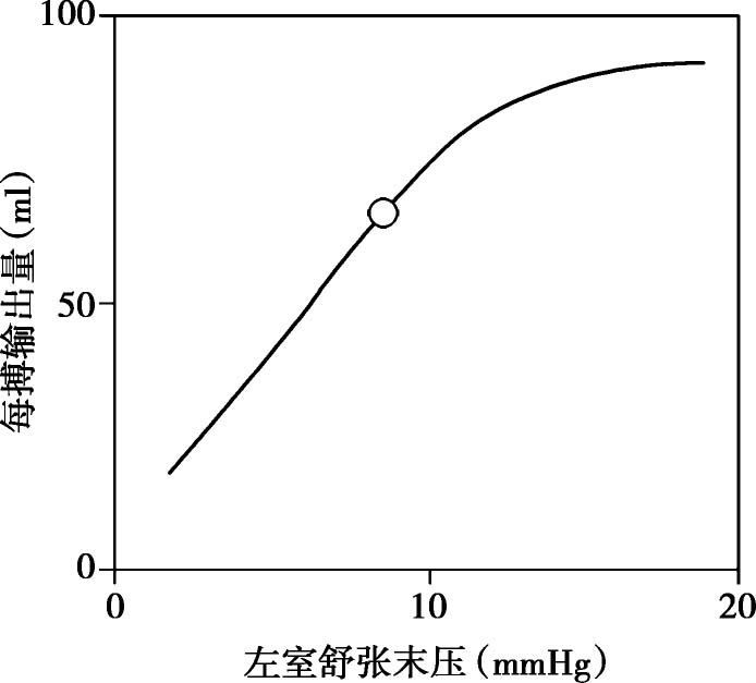 将frank-starling机制应用于心肌组织,尤其是分析左心室心肌的