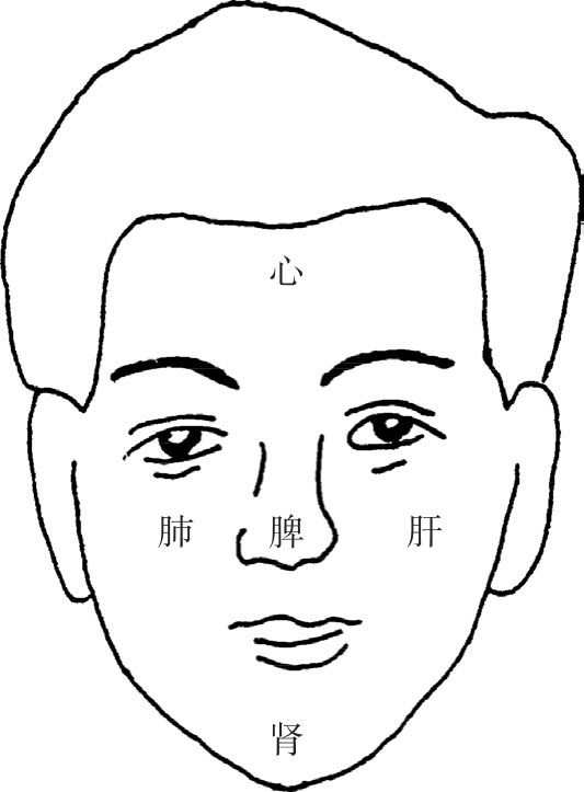 《中医局部特色诊法》