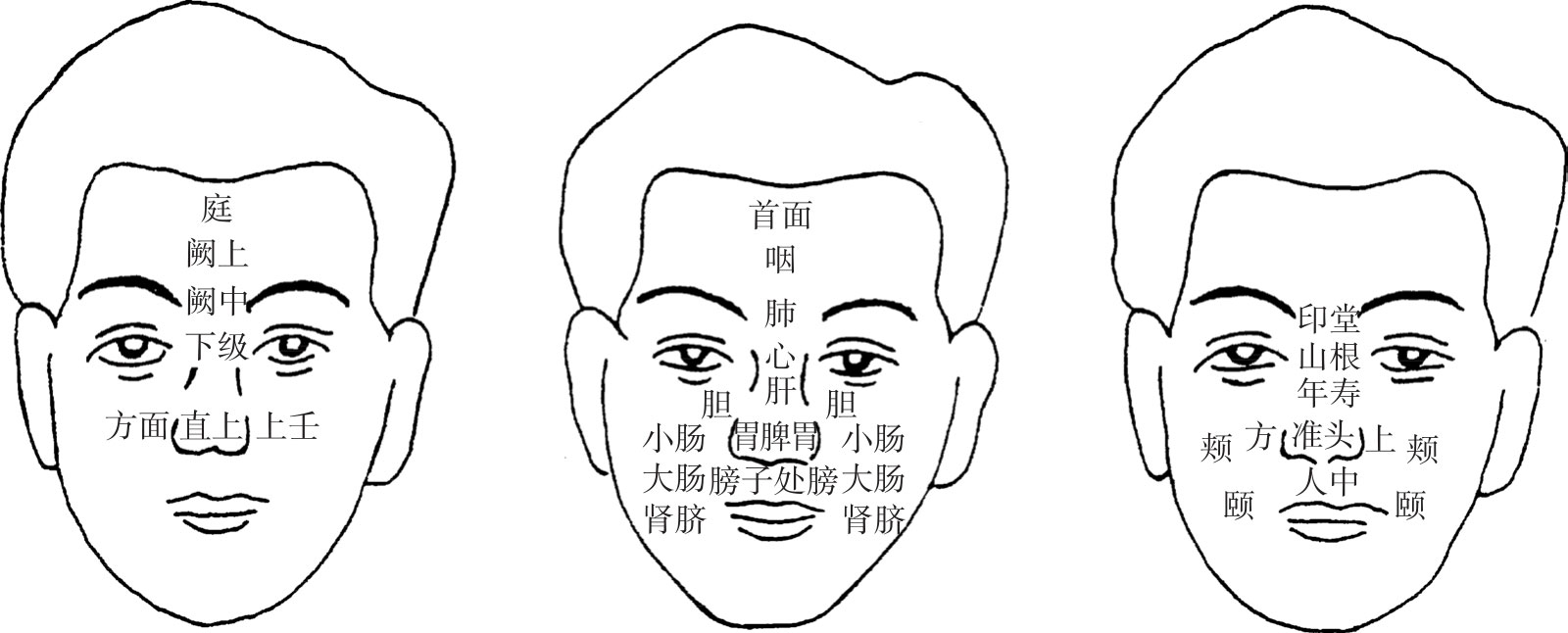 图1-49 明堂分位图
