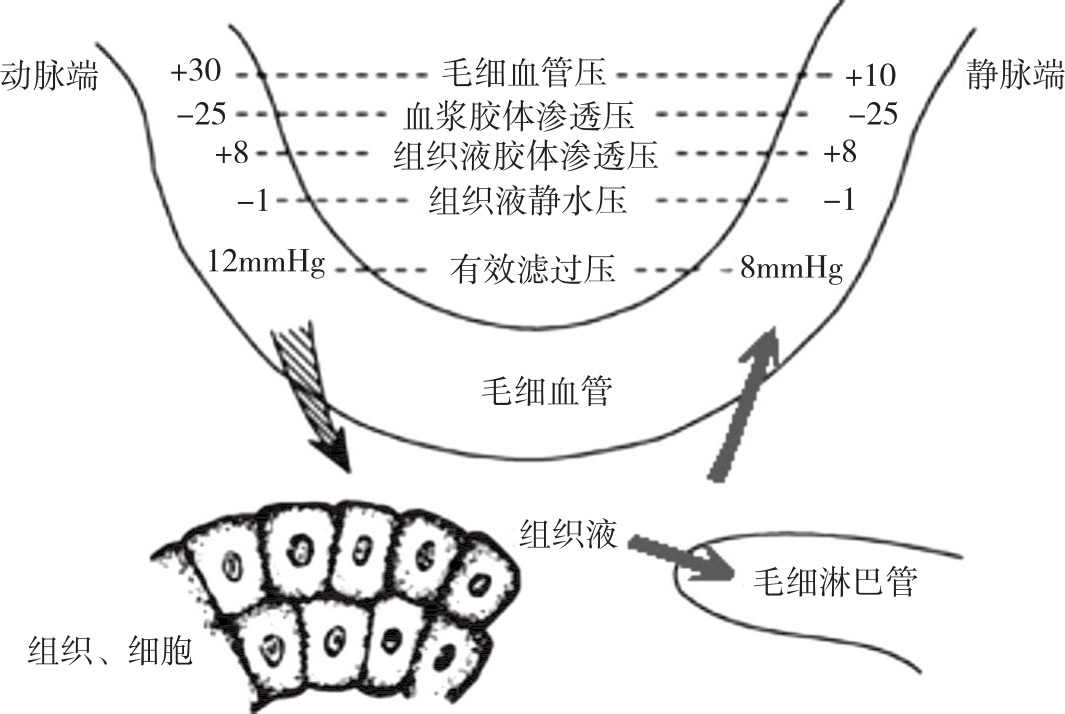 组织液来源于 m.zhangyue.com