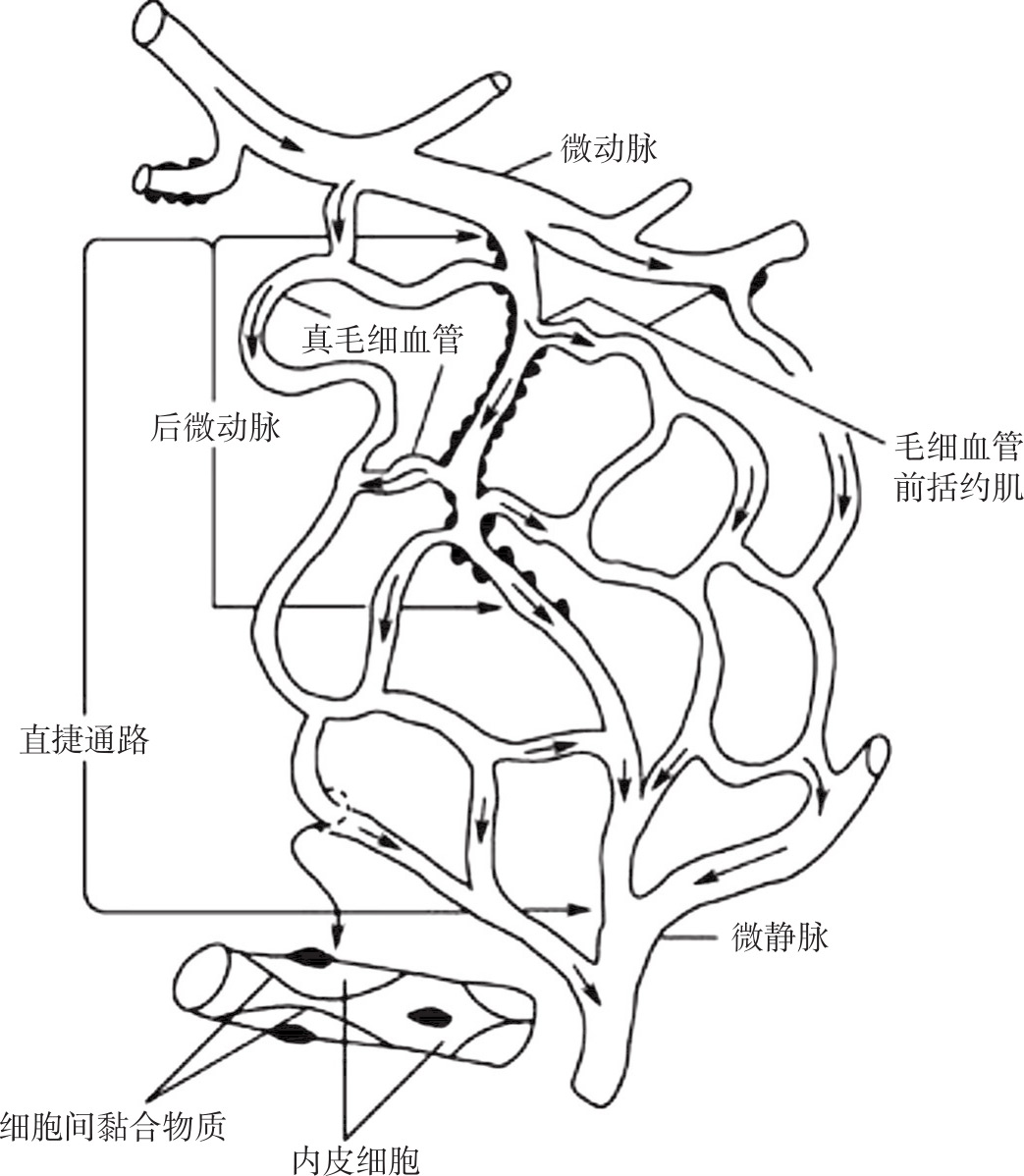 生理学(高职)最新章节_杨桂染著_得间小说