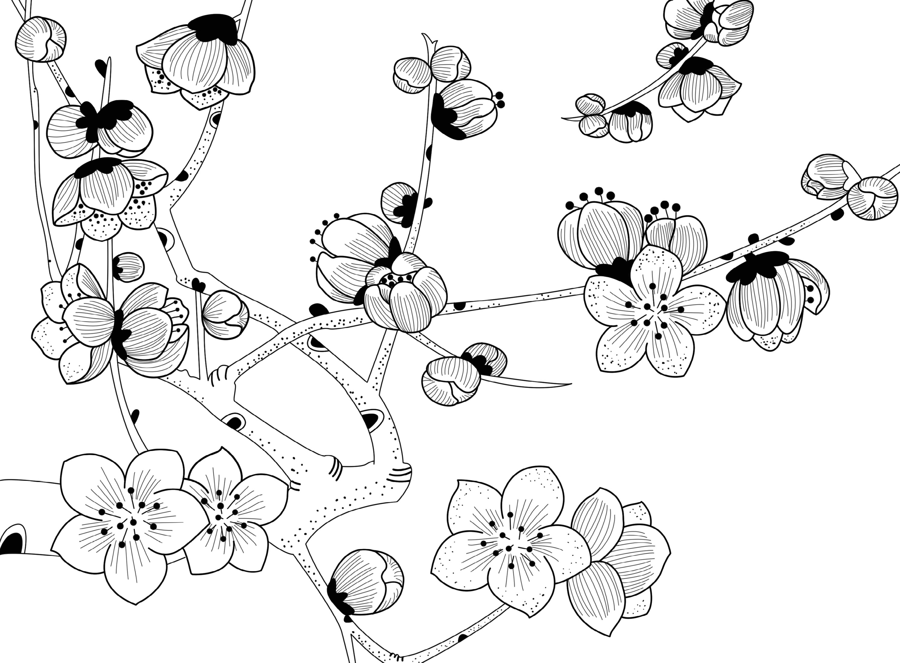 儿童简笔画基础教程 玫瑰花的画法图解 肉丁儿童网