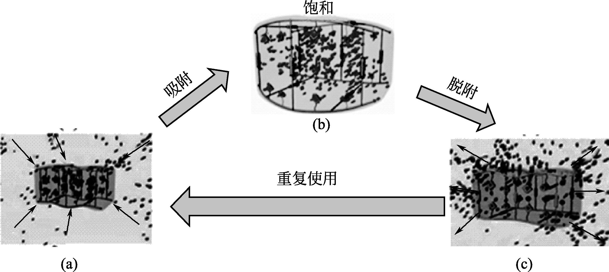 图2-18 可控结构高吸油高分子材料吸附-膨胀-脱附过