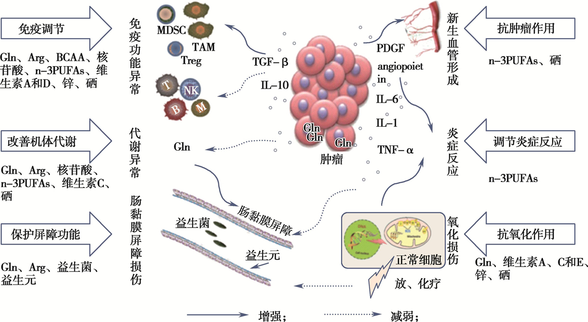 肿瘤免疫营养学发展