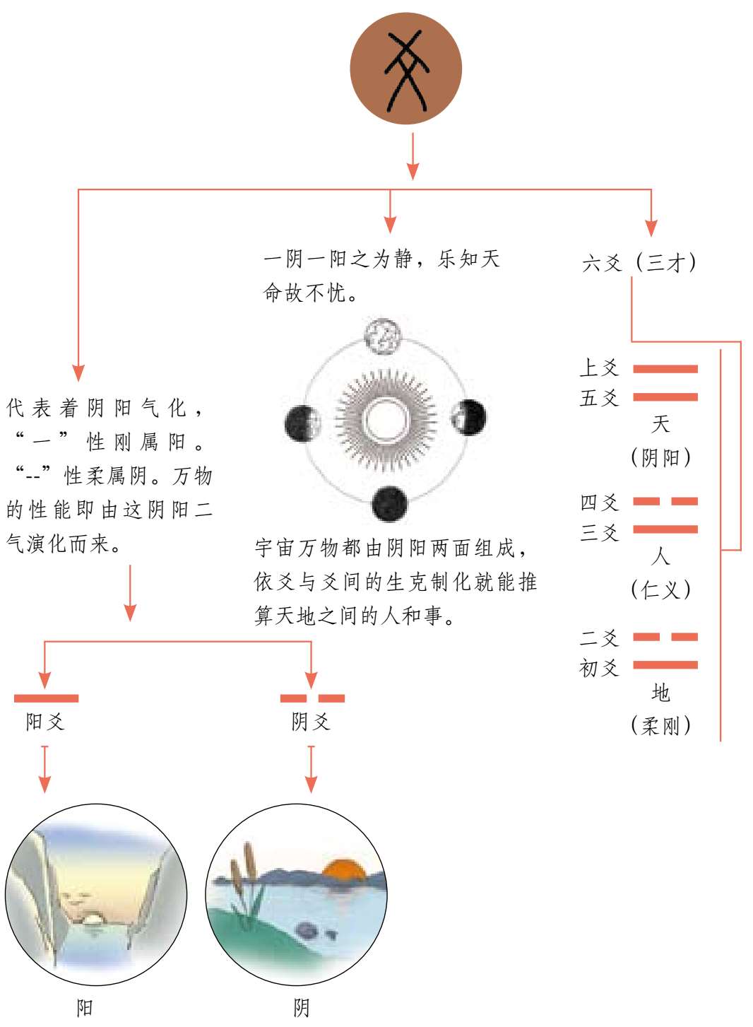 易经风水养生法最新章节_《国医绝学健康