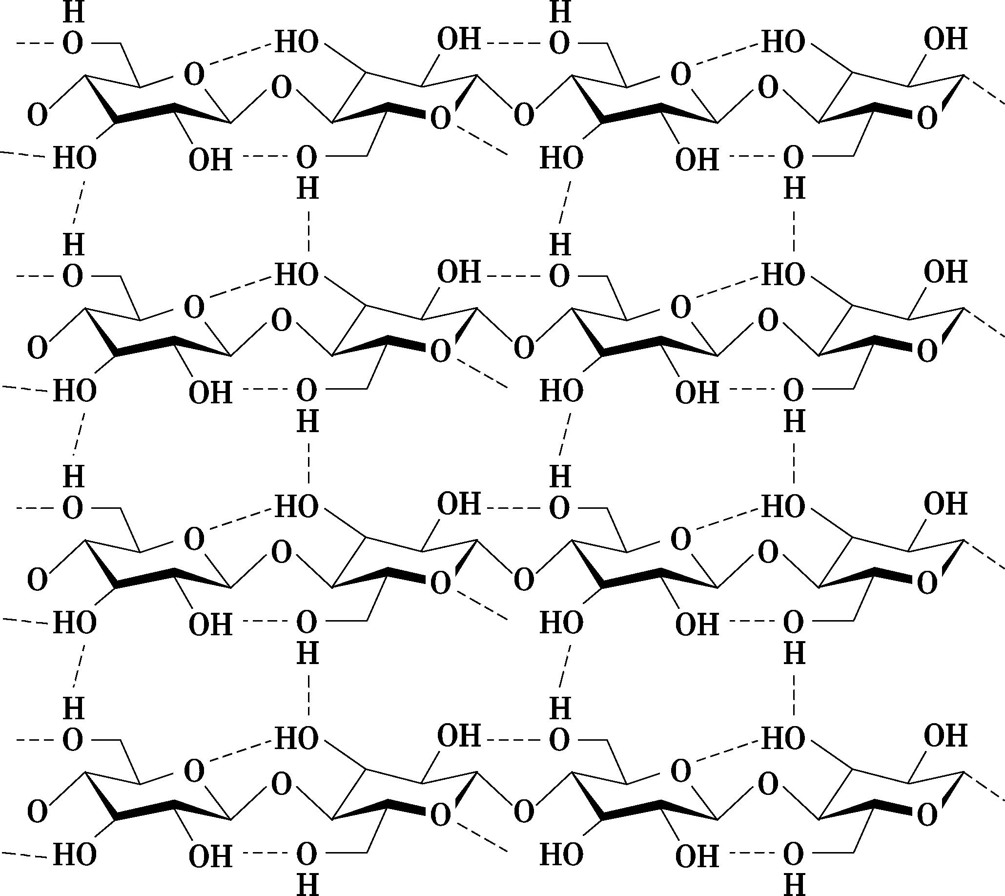 图3-28 纤维素空间结构中分子内及分子间的氢键作用