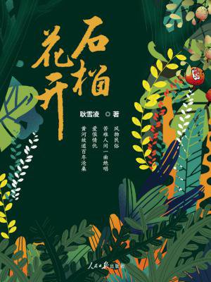 石榴花开