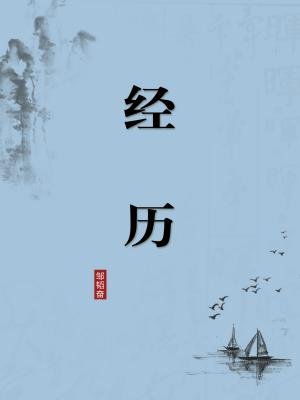 经历（无注释版）