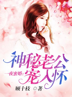 一夜蜜婚:神秘老公宠入怀