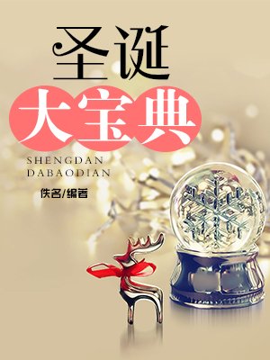 圣诞大宝典