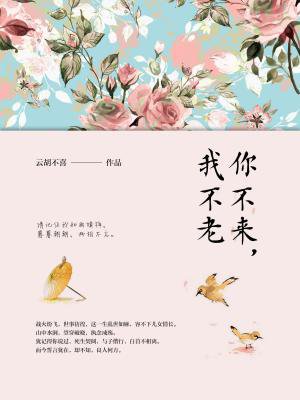 你不来，我不老
