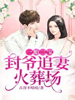 一胎三宝:封爷追妻火葬场