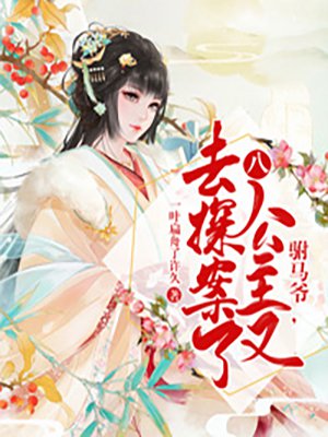 驸马爷，八公主又去探案了