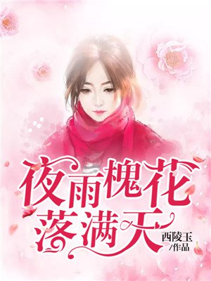夜雨槐花落满天