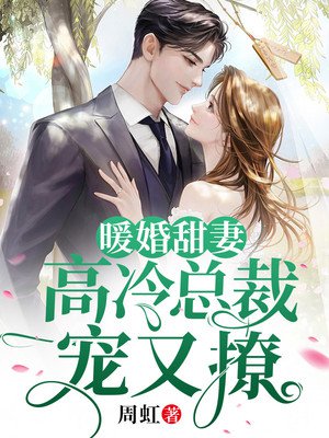 暖婚甜妻:高冷总裁宠又撩