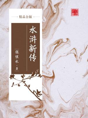 水浒新传(精品公版)