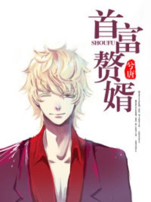 首富赘婿