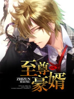 至尊豪婿