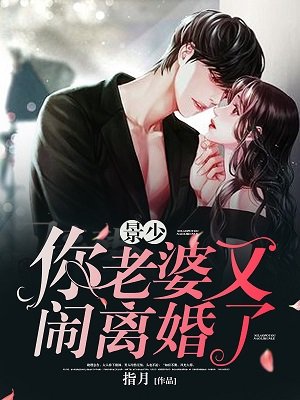景少,你老婆又闹离婚了