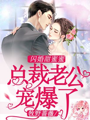 闪婚甜蜜蜜:总裁老公宠爆了