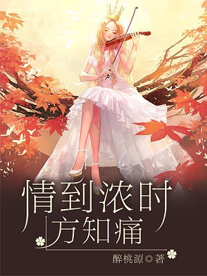 情到浓时方知痛