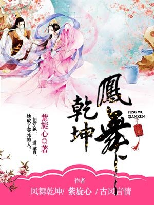 凤舞乾坤
