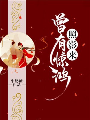 曾是惊鸿照影来