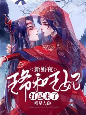 新婚夜,王爷和王妃打起来了