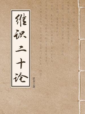 维识二十论