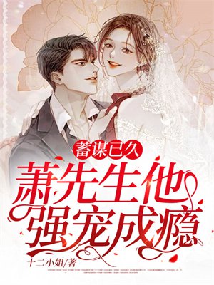 蓄谋已久,萧先生他强宠成瘾