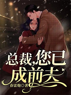 总裁，您已成前夫